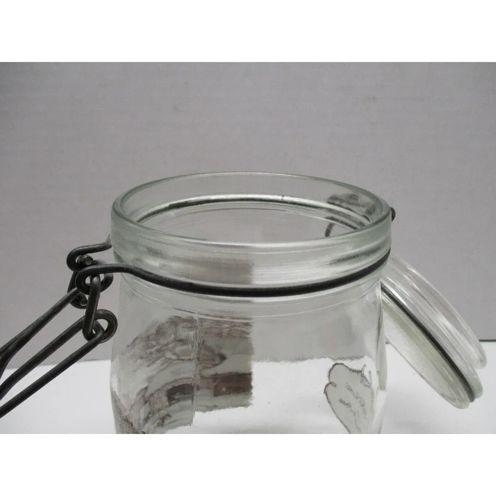 Currier and Ives Home To Thanksgiving Glass Jar Canister Hinged Lid 1 Liters